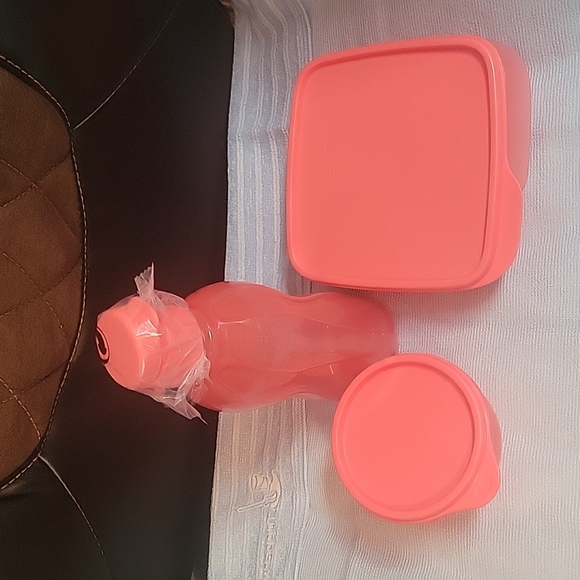 Tupperware LunchIt 3 Pc Set RHUBARB IS ONLY COLOR LEFT - Picture 5 of 10